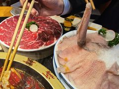 -一斗火锅·招财羊毛肚(北温泉九号店)