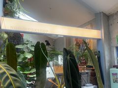 -nodcafe(M50创意园店)
