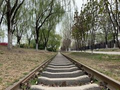 -永定河休闲森林公园