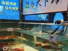 -南拳十三姨·潮汕砂锅粥·粤菜(西单大悦城店)