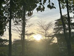 -广州市白云区图书馆