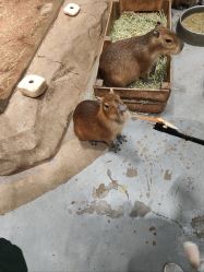 -Zoolung Zoolung动物主题公园(海信广场店)