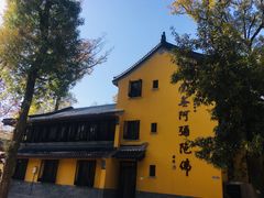 -灵谷景区