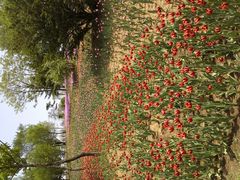 F:\图片\点评\植物园上传\IMG089-沈阳植物园