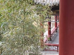 -碑林公园