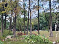 -人民公园(罗湖区)