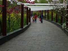 -南汇桃花村