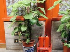 -阿西娅食府(中关村店)