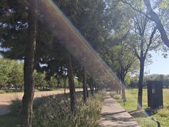 -汉长安城未央宫国家考古遗址公园