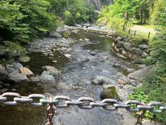-神农架景区