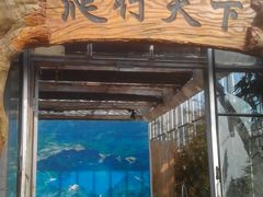 -石老人观光园