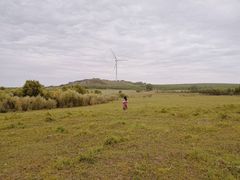 -御道口草原森林风景区