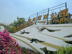 -西双版纳原始森林公园