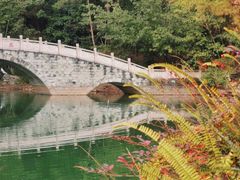 -铁山坪森林公园