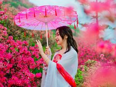 -木兰云雾山