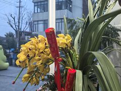 -FEI FEI FLOWER鲜花店·气球派对·宝宝宴布置(虹口德必运动Loft店)
