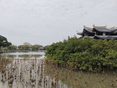 -江心屿景区