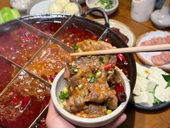 -白乐天毛肚火锅馆(南滨路店)