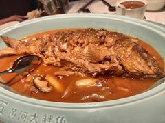 -阿五黄河大鲤鱼(英协路店)