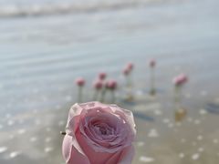 -青澳湾北回归线广场