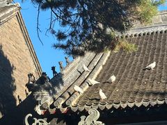 -北山公园