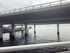 -演武大桥观景平台