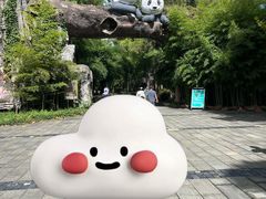 -安吉竹博园