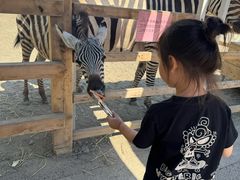 -水上乐园·欢乐世界