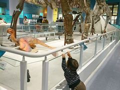 -国家自然博物馆