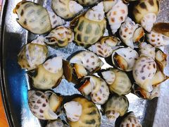 -蚝专家(北滘店)