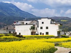 -巴黎贝甜(凯德MALL望京店)