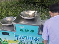 -黄海国家森林公园