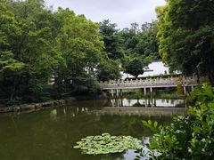 -深圳国际园林花卉博览园