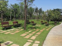 -象湖生态湿地公园