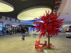 -密苑云顶乐园(云顶滑雪场)