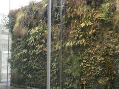 -金泽21世纪美术馆