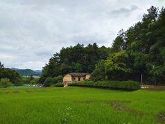 -韶山毛泽东同志故居