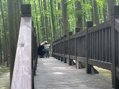 -南京金牛湖风景区