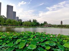 -西海子公园