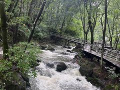 -香炉山国家森林公园