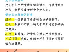 -中国农业大学(西校区)