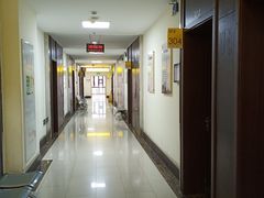 -上海市杨浦区中医医院