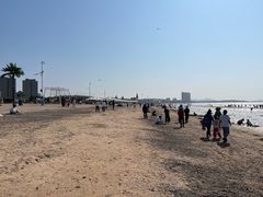 -长兴岛海滨公园