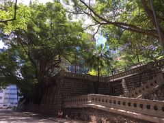 -香港佐治五世纪念公园