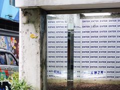 -泡桐树街