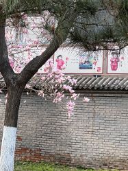 -Oasis Beauty水磨坊科技美肤中心