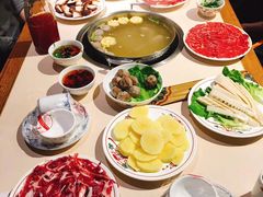 -汕头八合里海记牛肉店(清河店)