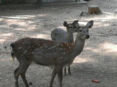 -大连铭湖国际观光牧场