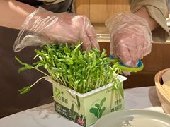 -左庭右院鲜牛肉火锅(新梅广场店)
