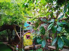 -呀路古热带植物园